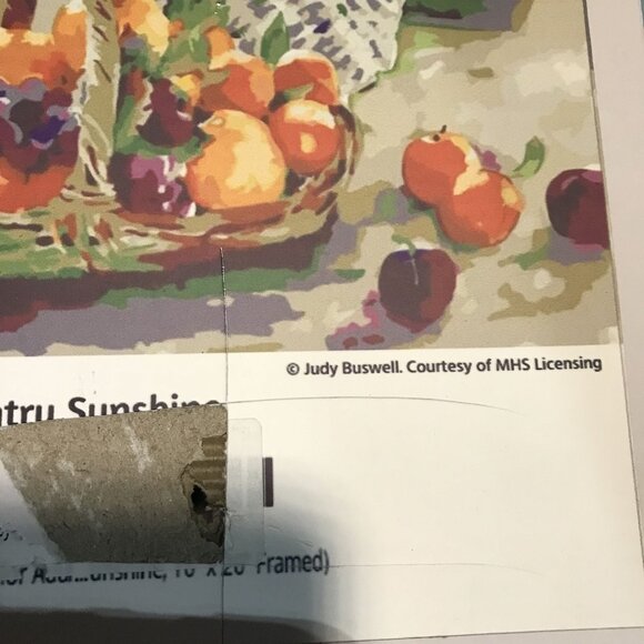 Ledgebay 16" X 20" Framed Paint By Numbers Kit - Country Sunshine with Easel - Picture 5 of 8